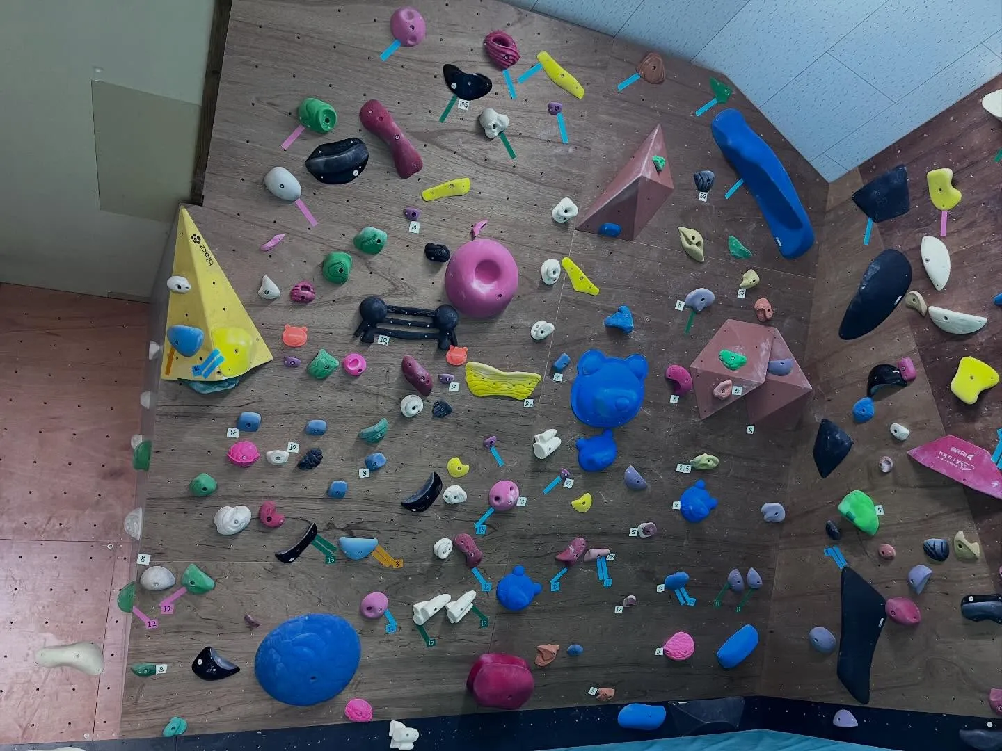 都城市・三股町で新しい趣味にボルダリングはいかがでしょうか？...