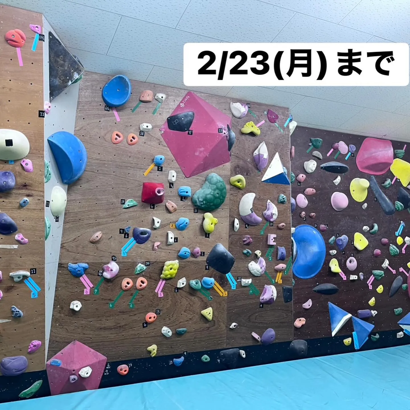 都城市・三股町で新しい趣味にボルダリングはいかがでしょうか？...