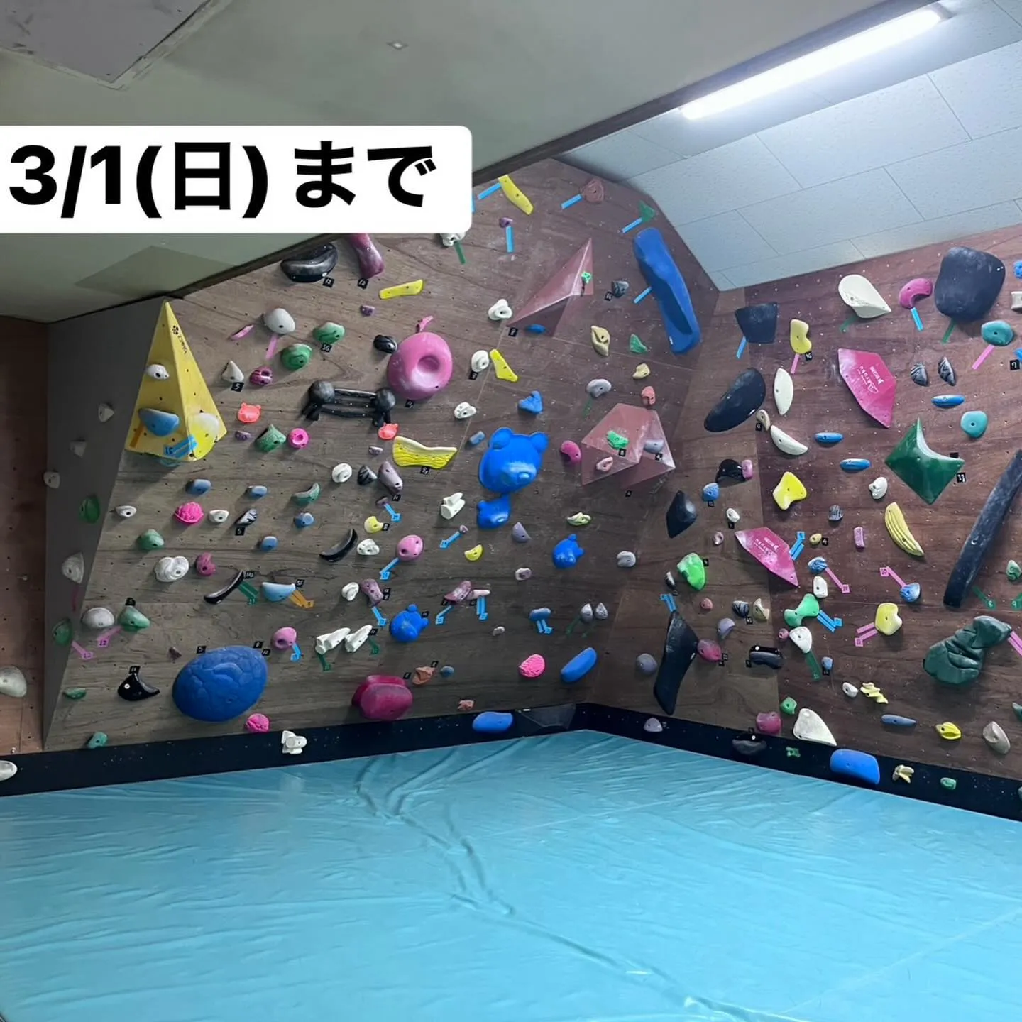 都城市・三股町で新しい趣味にボルダリングはいかがでしょうか？...