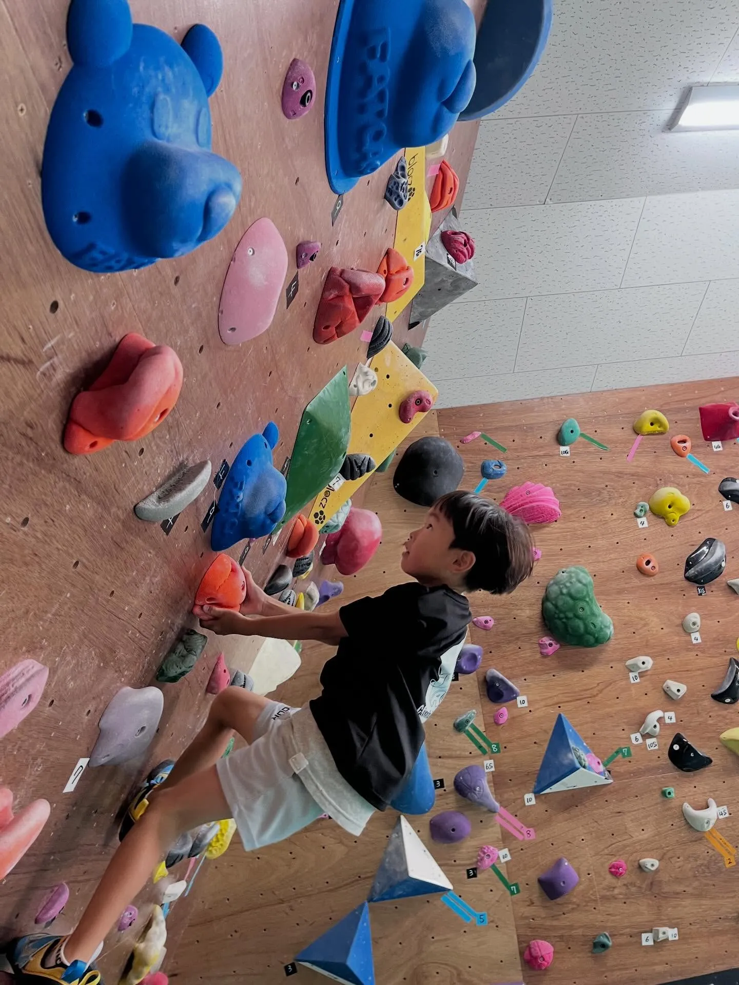 都城市・三股町で習い事をするならボルダリング‼️5歳~中学生...