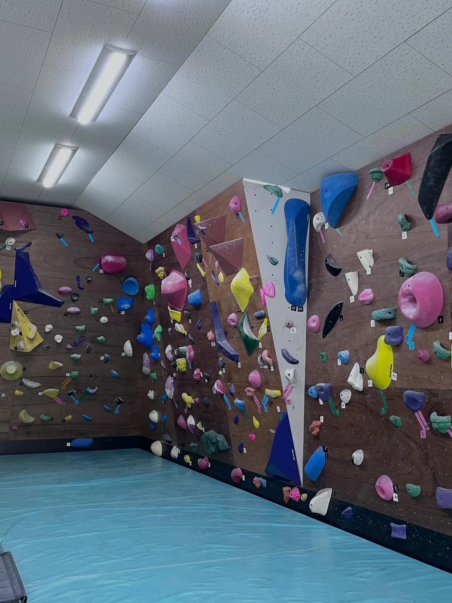 都城市・三股町で習い事をするならボルダリング‼️5歳~中学生...